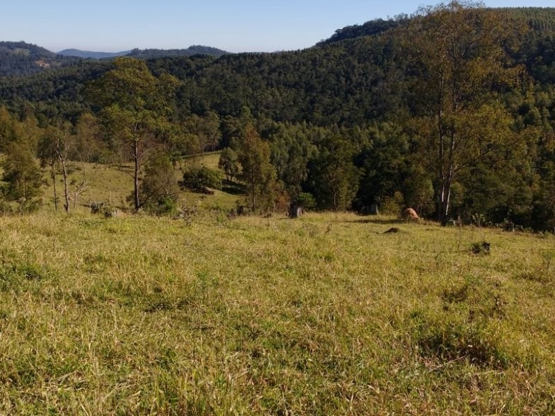 SITIO FORMADO EM PASTO