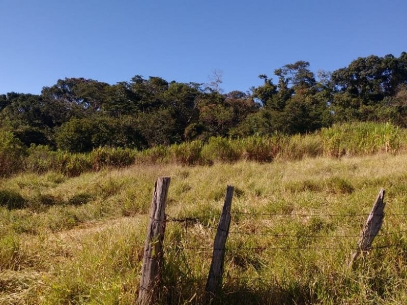 SITIO FORMADO EM PASTO