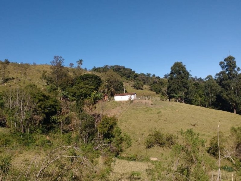 SITIO FORMADO EM PASTO