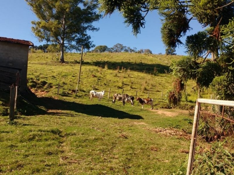 SITIO FORMADO EM PASTO