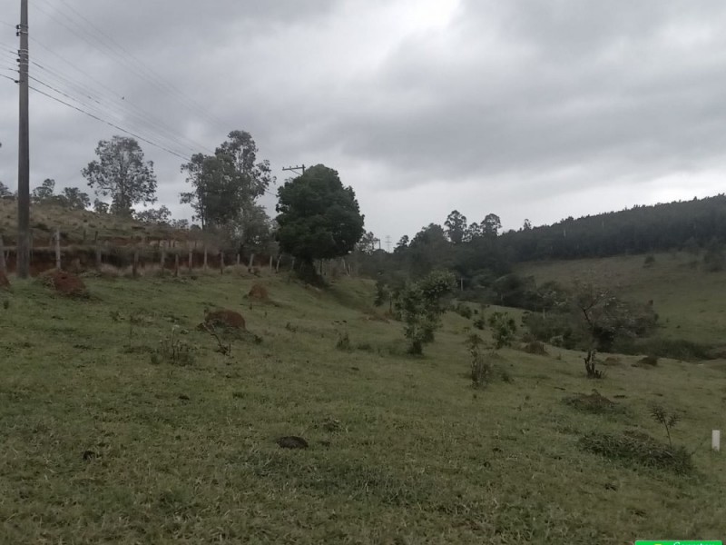 SITIO NOS COCAIS