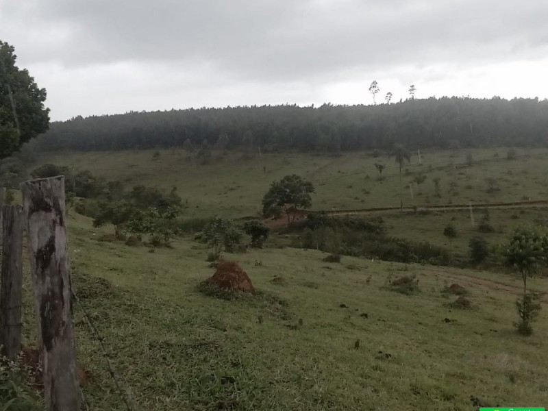 SITIO NOS COCAIS