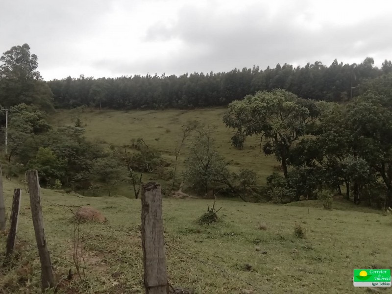 SITIO NOS COCAIS