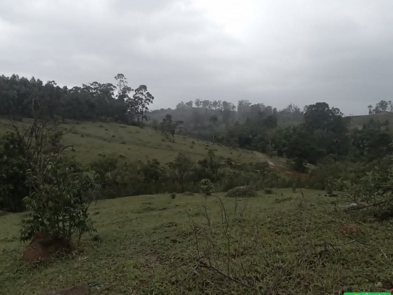 SITIO NOS COCAIS