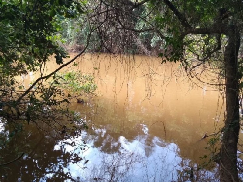 SITIO 100% APROVEITADO P/ CULTIVO + CASA +ÁGUA