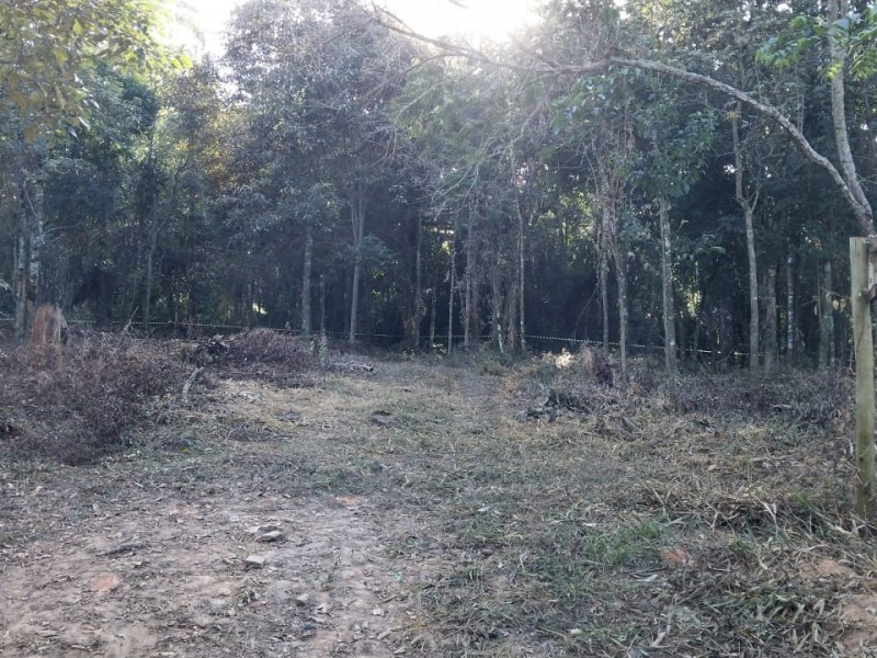SITIO RURAL + ÁREA NATIVA