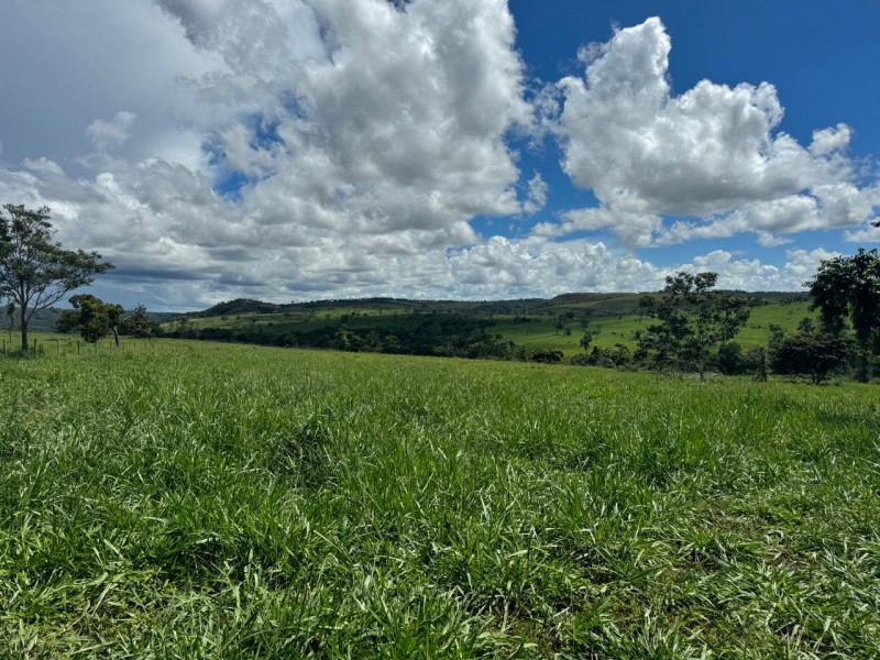 FAZENDA OLHOS D'ÁGUA