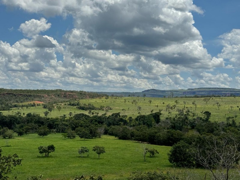 FAZENDA OLHOS D'ÁGUA