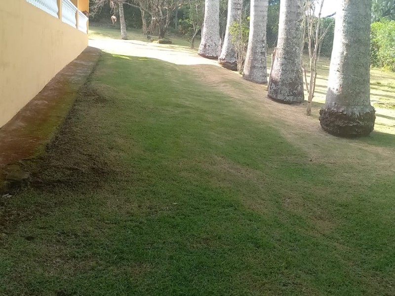 VENDIDO VENDIDO