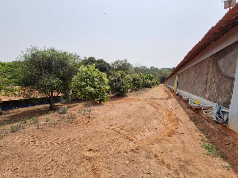 LINDA ÁREA RURAL + REPRESA