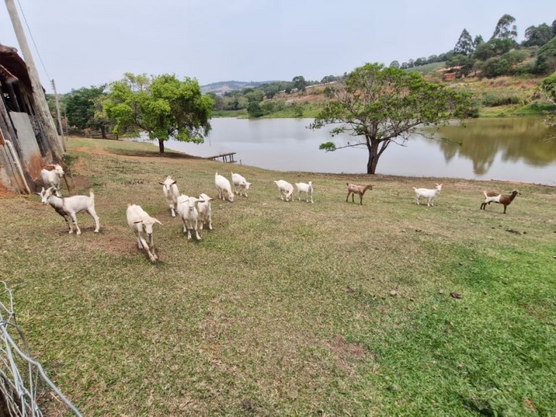 LINDA ÁREA RURAL + REPRESA