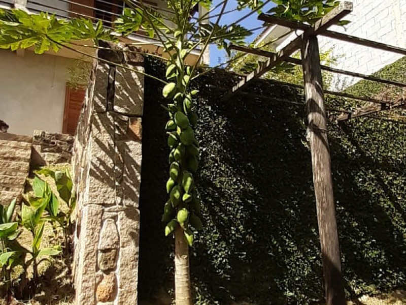 CHACARÁ ACONCHEGANTE