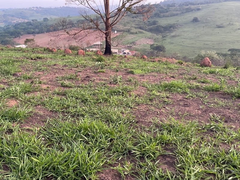 ÁREA REGIÃO NOBRE
