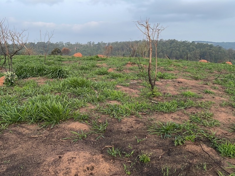 ÁREA REGIÃO NOBRE