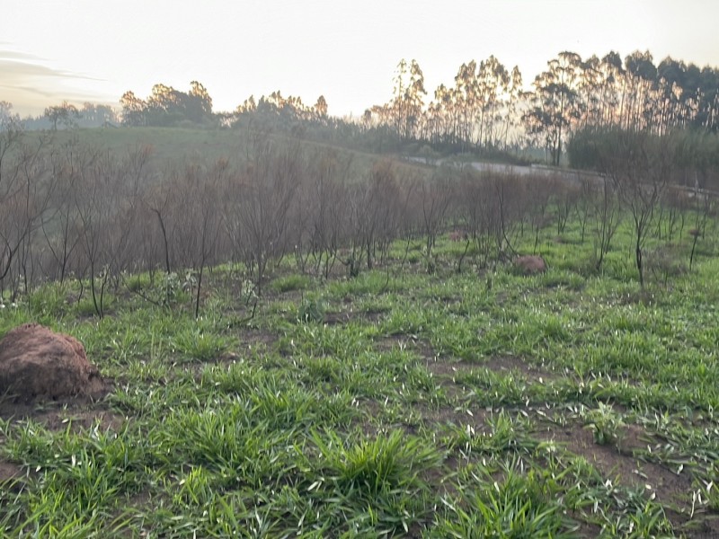 ÁREA REGIÃO NOBRE