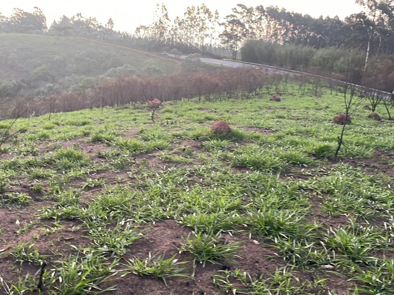 ÁREA REGIÃO NOBRE