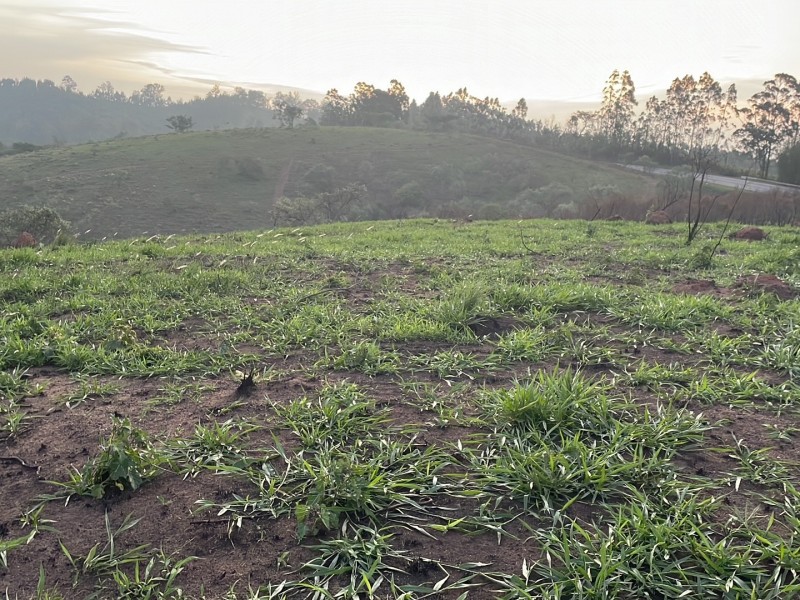ÁREA REGIÃO NOBRE