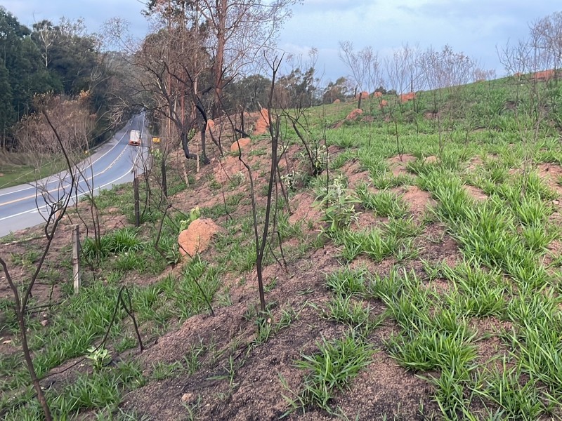 ÁREA REGIÃO NOBRE