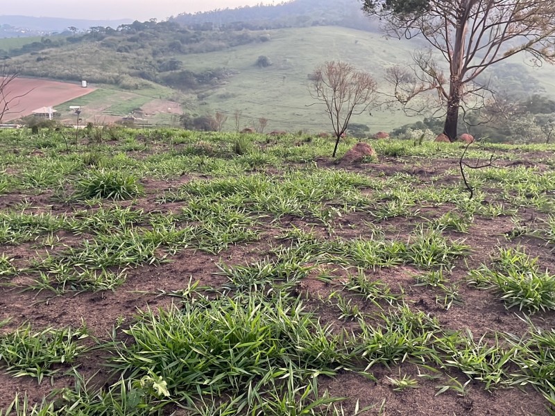 ÁREA REGIÃO NOBRE