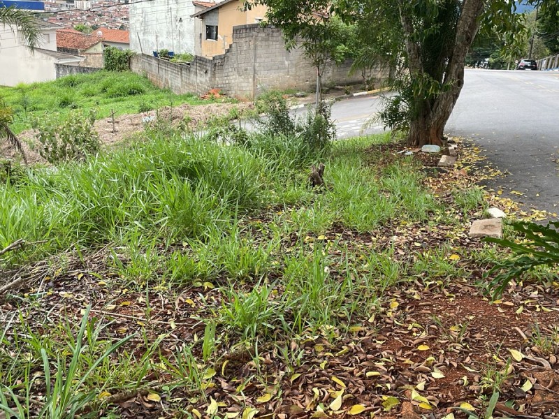 TERRENO REGIÃO CENTRAL