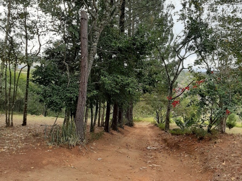 SITIO LINDA VISTA PEDRA BRANCA