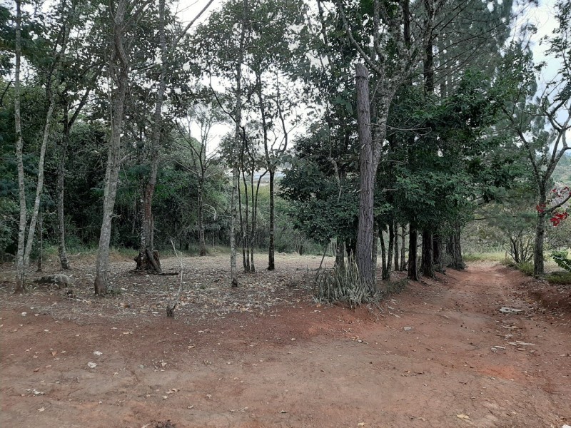 SITIO LINDA VISTA PEDRA BRANCA