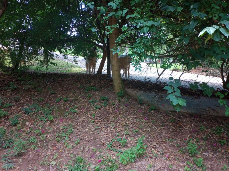 LINDA ÁREA RURAL 