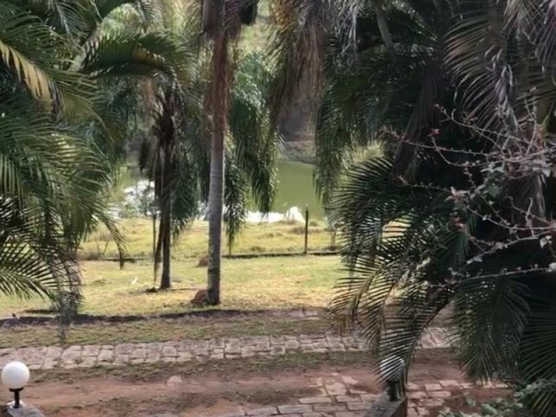 LINDA ÁREA RURAL 