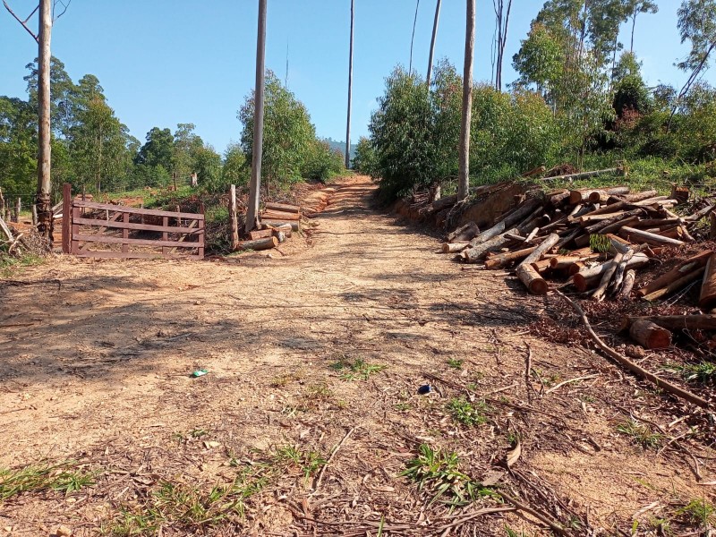 LINDA ÁREA RURAL 