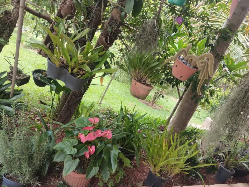 LINDA CHÁCARA PRONTA P/ MORADIA