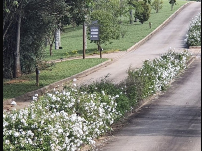 TERRENO SÃO SILVANO 